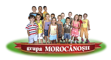 Grupa mare Morocanosii educatoare Alina Dumitrascu